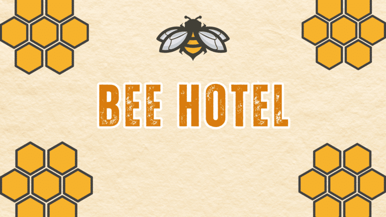 Graphic with text: Bee Hotel.